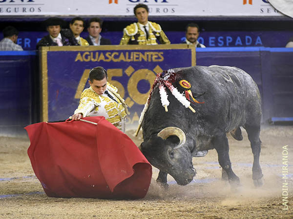 Prlogo rodilla en tierra