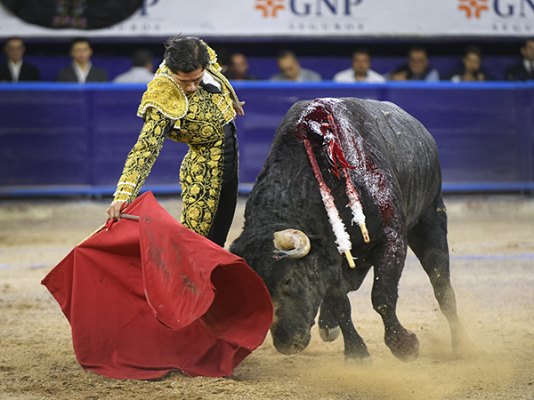 Ejemplar con ms fuelle