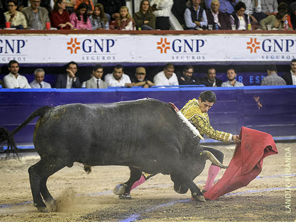 Flexiones de Luis David