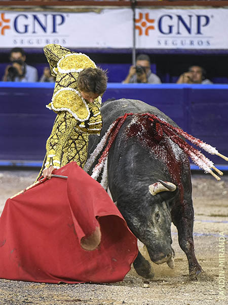 Esfuerzo desplegado por el peruano