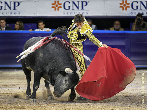 Naturales que calaron en el tendido