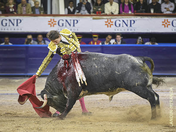 Crdeno de buenas hechuras