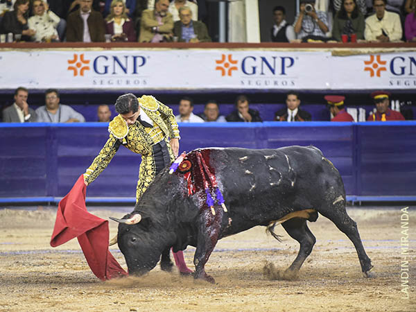 Los olees en los medios