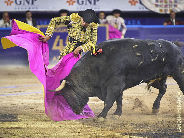 Suavidad en sus lances