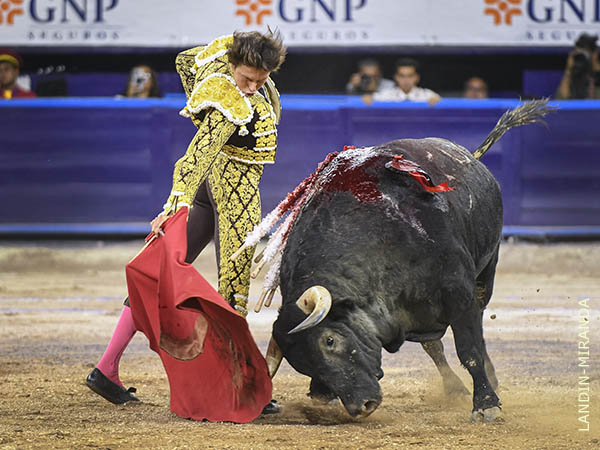 En el gusto de los aficionados