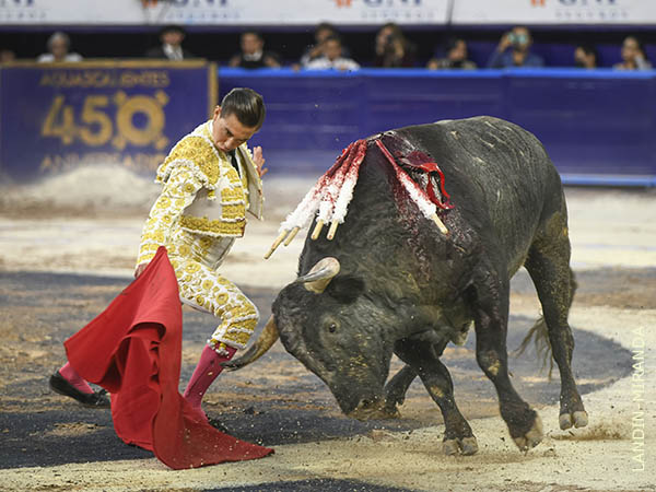 Logr robarle los muletazos