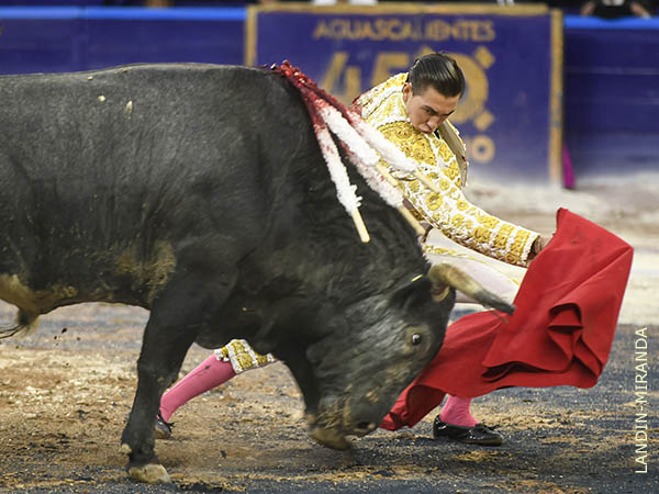 Le plant cara con autoridad