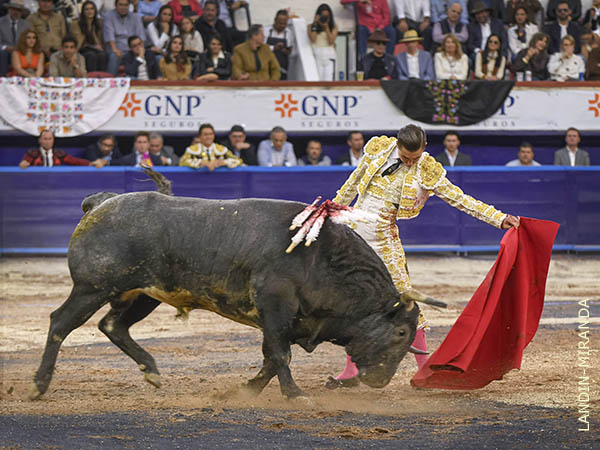 Coreado en los naturales