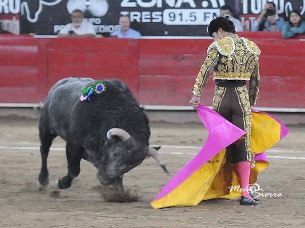 El ejemplar ms serio de la temporada