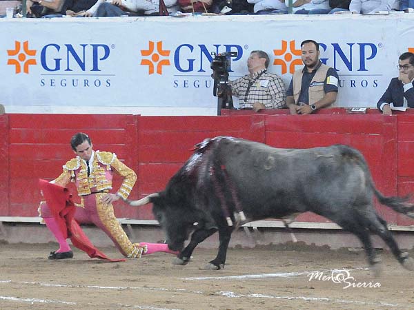 Inicio rodilla en tierra