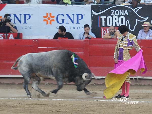 SIlveti, bien plantado con su segundo
