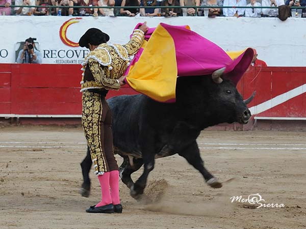 Ajustado quite por saltilleras