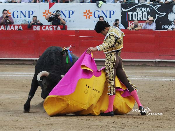 San Romn, consentido de Guadalajara