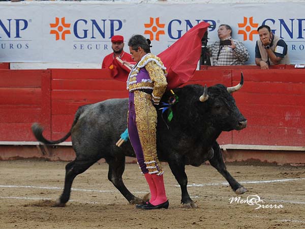 Al final, detalles de buen gusto