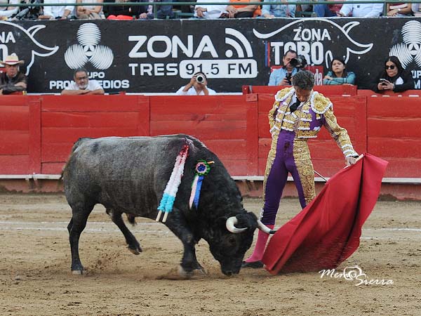 Templadas series por la zurda