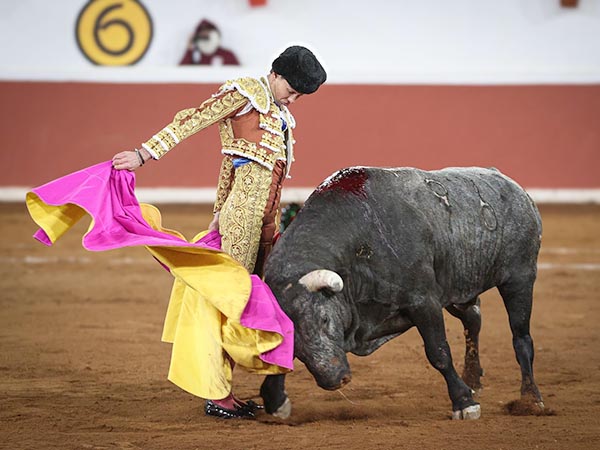 Ceidas gaoneras de Bruno