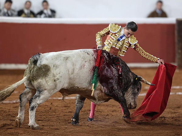 Lentos y templados naturales