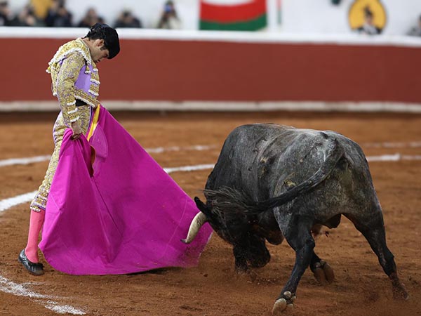 Las vernicas de Diego