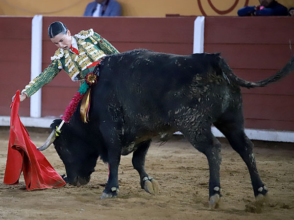 Apuntando el toreo bueno