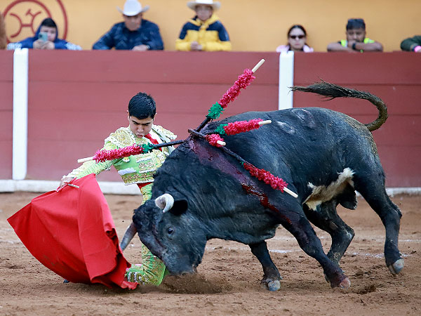 Gran Novillo de Atlanga