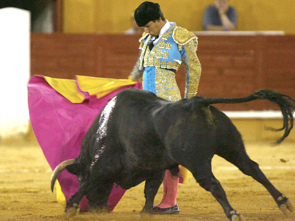 Ce�ida gaonera de Diego