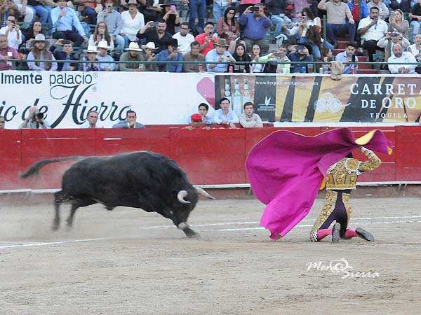 Buscando el triunfo grande