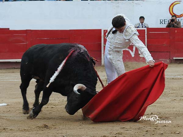 Buen toreo en la Nuevo Progreso