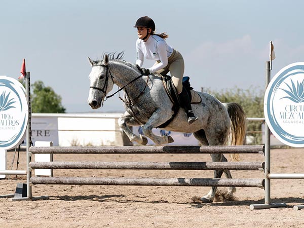 El gusto por la equitacin