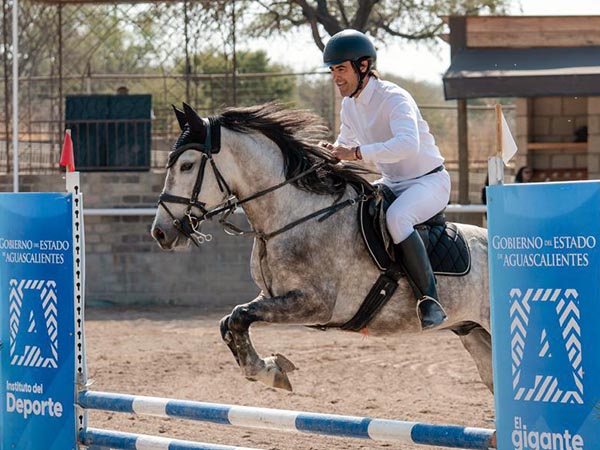 En los lomos del tordillo