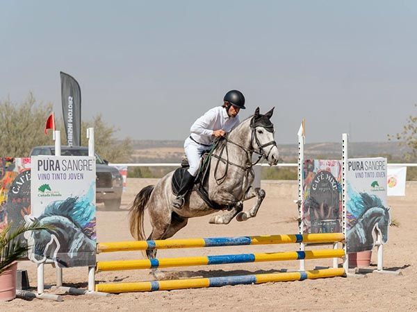 Finos caballos de salto