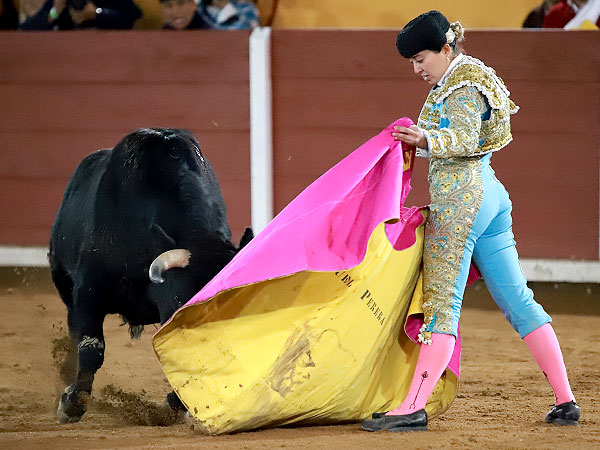 Buen Novillo de Coyotepec para Luz