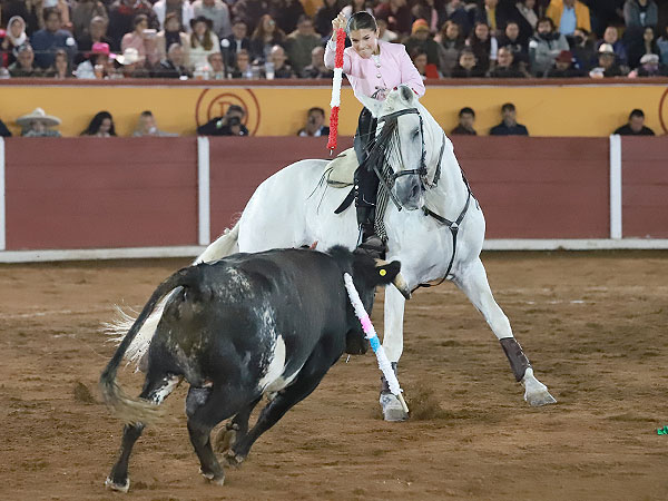 Toreando con el pecho