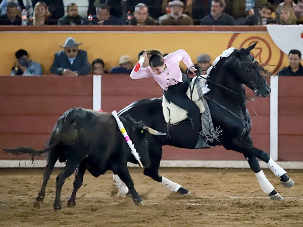 Dejando una banderilla corta