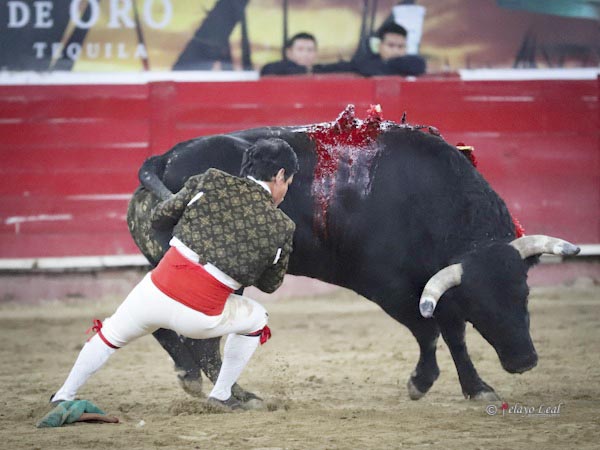 Ren Tirado, pasin por la tauromaquia