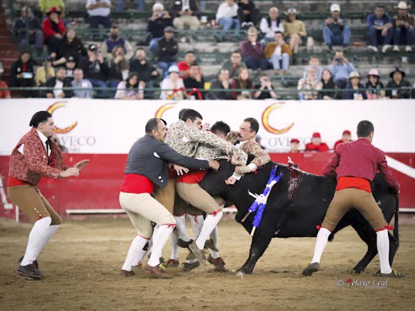 Los Amadores de Moita en su pega