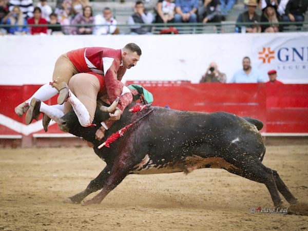 Los Amadores de Turlock en la pega