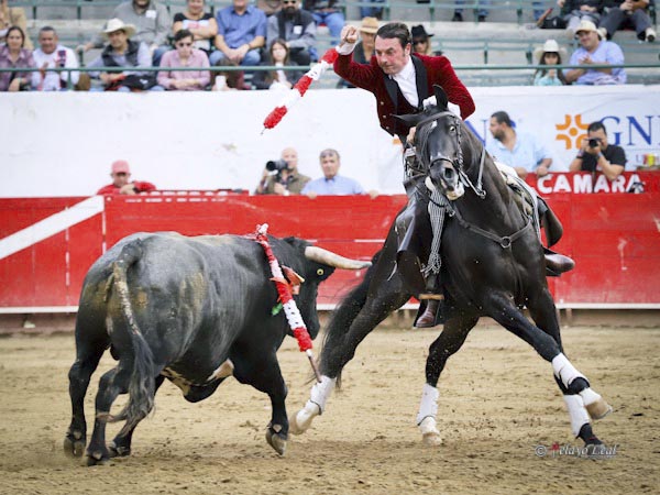 Oficiando en el tercio de banderillas