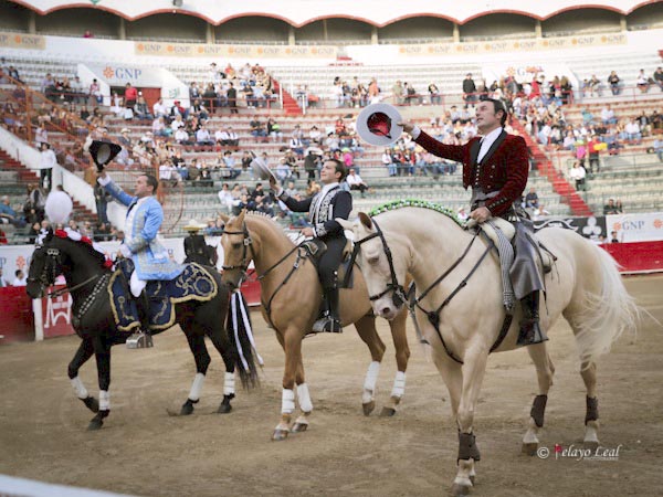 Saludo al biombo del juez