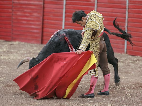 Brillante actuacin con su lote