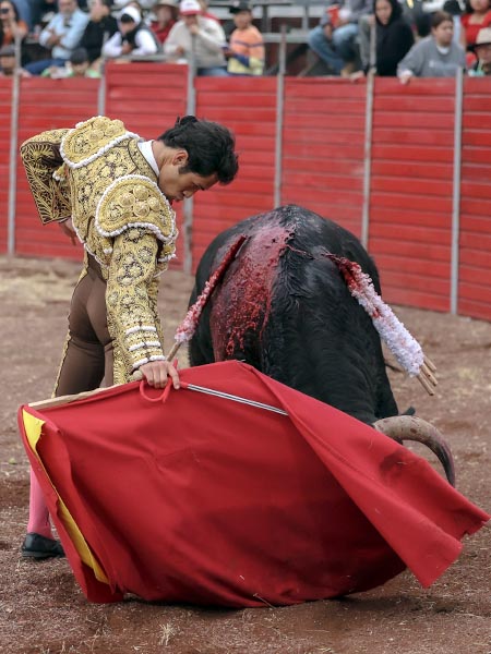 Bueno por ambos pitones