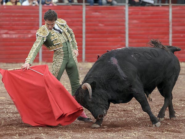 Acompasadas tandas por derecho