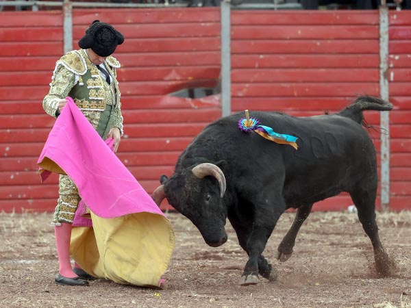 Las vernicas de Mauricio