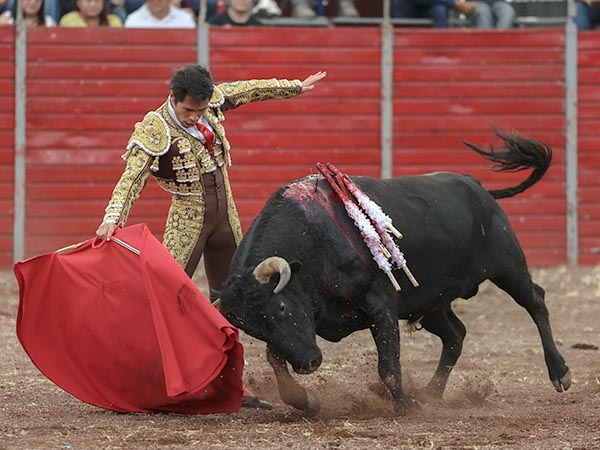 Determinacin y actitud