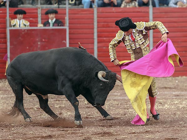 El quite por navarras