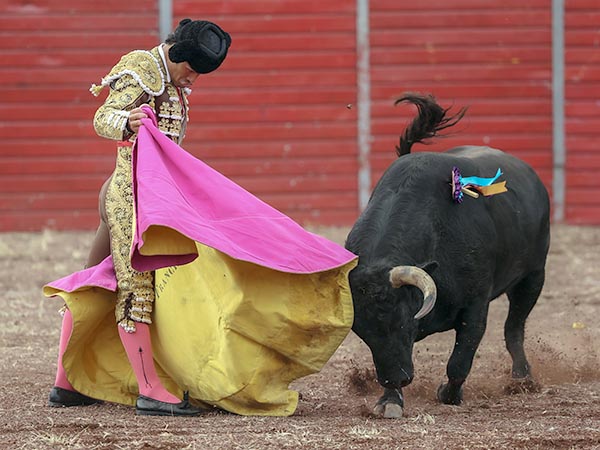 Firme en las vernicas