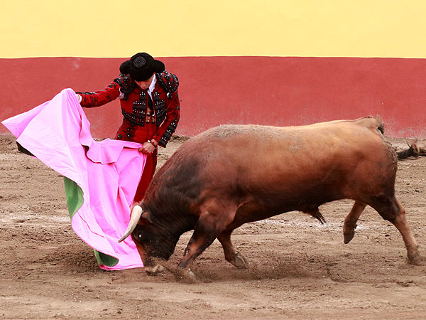 Sebasti�n Palomo Mac�as