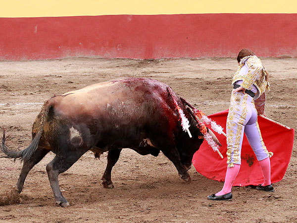 Disfrutando la embestida