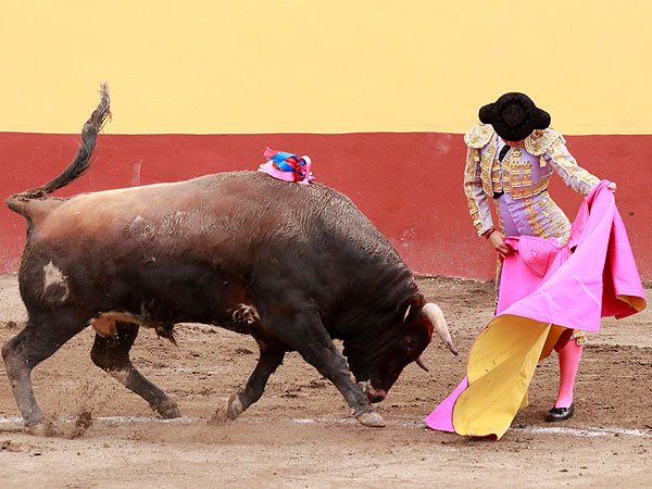 Toros de N��ez Del Omo