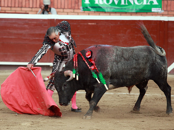 El toro, sin humillar