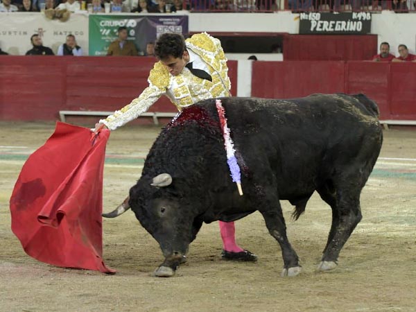 Largueza en el trazo